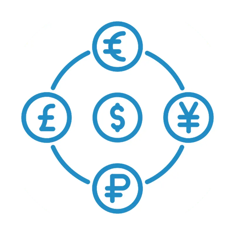 Multi-Currency Support